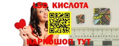 гашик Гусь-Хрустальный
