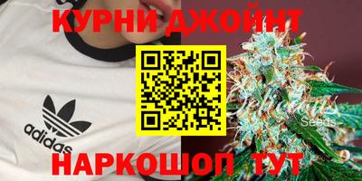 гашик Гусь-Хрустальный
