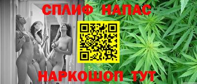таблы Гусев