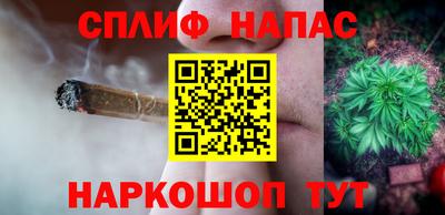 гашик Гусь-Хрустальный
