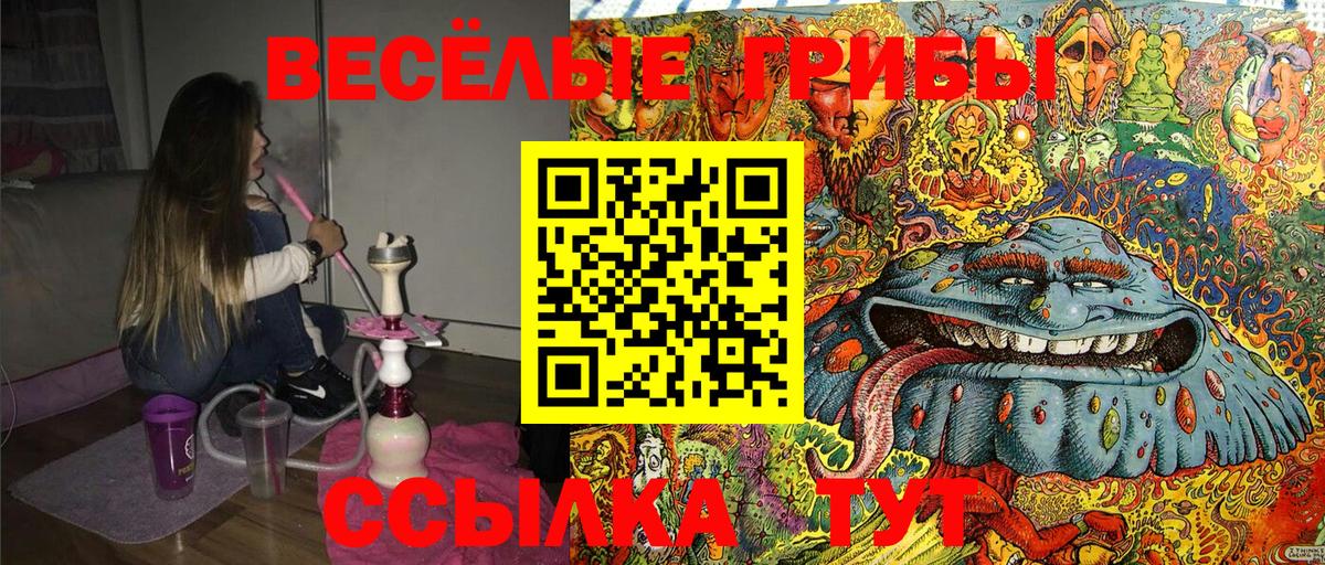 купить  сайты  Вход с VPN  Зеленокумск  Псилоцибиновые грибы Magic Shrooms  Галлюциногенные грибы ЛСД 
